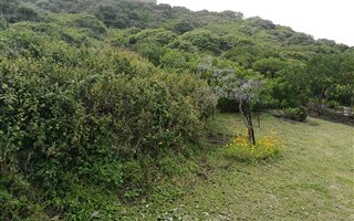 1682 m² Land available in Tsitsikamma