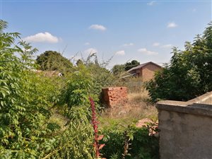 744 m² Land available in Flora Park
