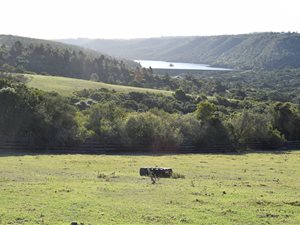 11.5 ha Farm in Plettenberg Bay Rural