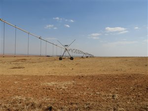 625 ha Farm in Middelburg Central