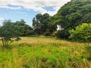 1367 m² Land available in Lydenburg