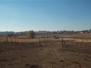 13 ha Farm in Benoni CBD
