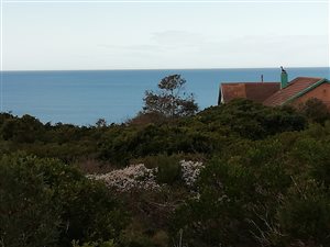 634 m² Land available in Boggomsbaai
