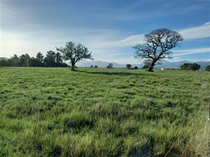 6.3 ha Land available in Rheenendal