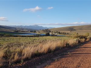 680 ha Farm in De Rust