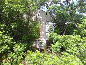 8.5 ha Farm in Bultfontein
