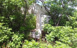 8.5 ha Farm in Bultfontein