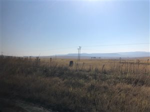 521 ha Farm in Vryheid