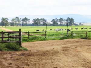 983 ha Farmland in Vryheid