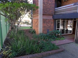 1 Bed Apartment in Sunnyside