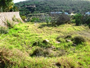 564 m² Land available in Groot Brakrivier
