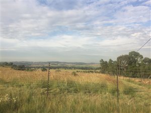 11 ha Farmland in Eye of Africa
