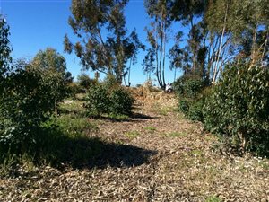 2038 m² Land available in Koringberg