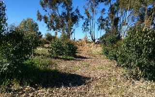 2038 m² Land available in Koringberg