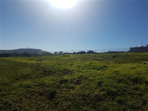 3277 m² Land available in Van Riebeeckshof