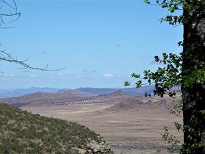 185.2 ha Farm in Graaff Reinet