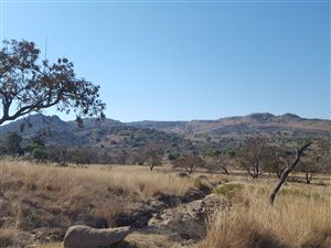 111.3 ha Land available in Roossenekal