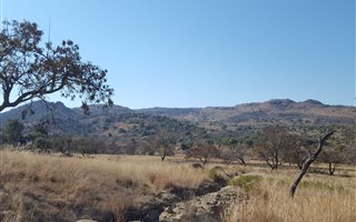 111.3 ha Land available in Roossenekal