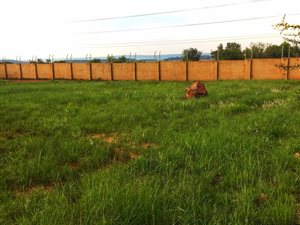 990 m² Land available in The Hills