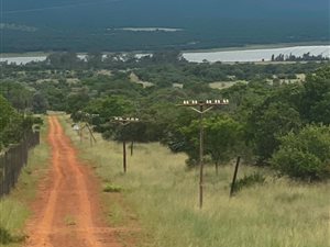 787 ha Farm in Koster