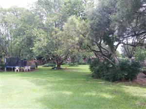 3 Bed House in Irene