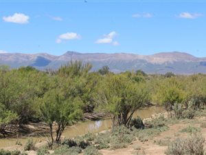 3724 ha Farm in Willowmore
