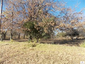 694 m² Land available in Fouriesburg