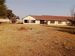 17444 ha Farm in Welgedacht