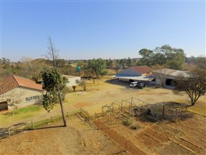 6 Bed House in Homestead Apple Orchards
