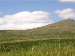 1622 m² Land available in Sabie