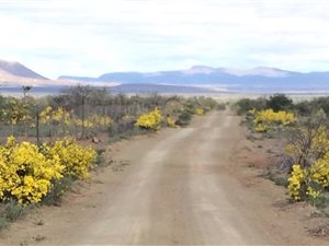 3037 ha Farm in Graaff Reinet
