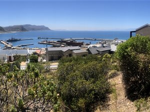 527 m² Land available in Simons Town