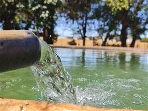 17 ha Farm in Tarlton
