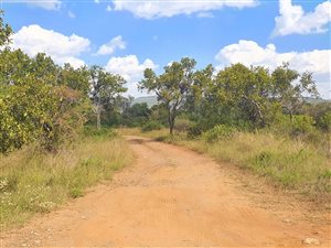 85 ha Farm in Mokopane