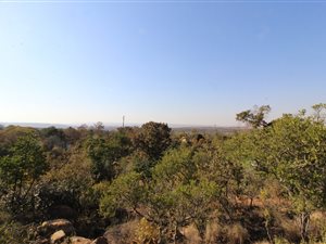 21.5 ha Farm in Bronberg