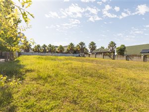 981 m² Land available in King George Park