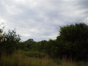 2.1 ha Land available in Bloemfontein Farms