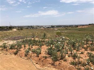 1 ha Land available in Austin View