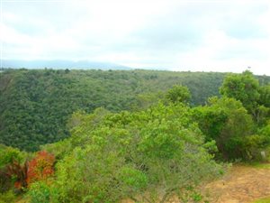 1143 m² Land available in Ballots Bay
