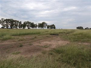47 ha Farm in Kroonstad