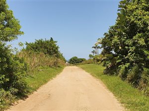 1337 m² Land available in Port Edward
