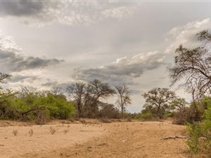 9588 m² Land available in Moditlo Nature Reserve