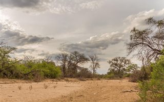 9588 m² Land available in Moditlo Nature Reserve