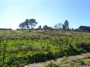 647 m² Land available in Paarl