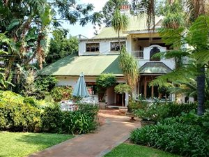 1 Bed Apartment in Arcadia