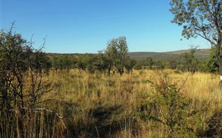 2500 m² Land available in Zwartkloof Private Game Reserve