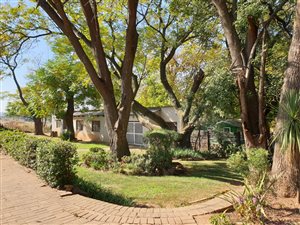 3 Bed House in Farmall