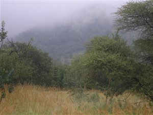 1405 m² Land available in Wigwam