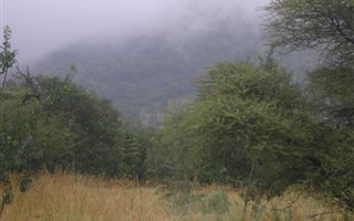 1405 m² Land available in Wigwam