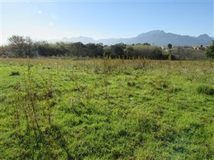 4230 m² Land available in Pacaltsdorp